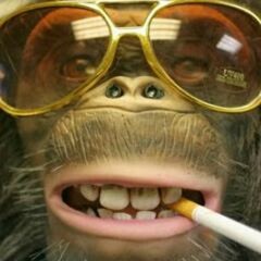 HARDCORE klassieker's  VAN DEZE SHIT GAAT MIJN HART PAS SNELLER KLOPPEN <3 <3 >:) B-)