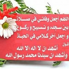 Hayam Elsayed