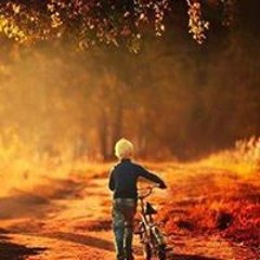 محمود المدثر