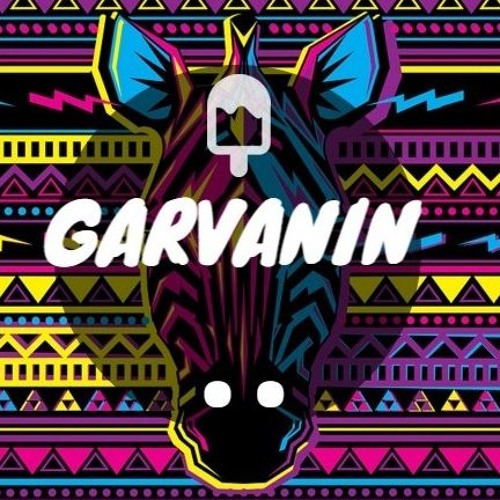 Garvanin 2015 — artist photo