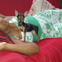 joao.jps57@gmail.com