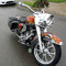 Mr. HD Road King