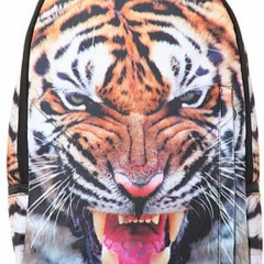 THADDAEUS THE TIGER
