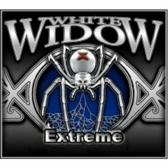 Mr White widow