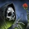 Tim Loe J