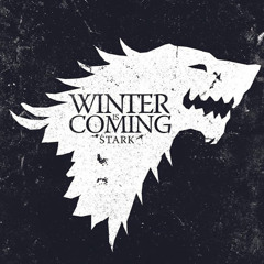 Jonas Van den noortgate