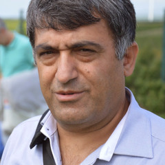 Saeed Behrami