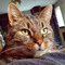 Snien