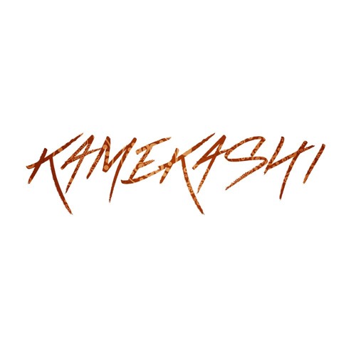 KAMEKASHI’s avatar