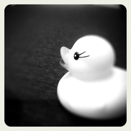 same shit over and over again