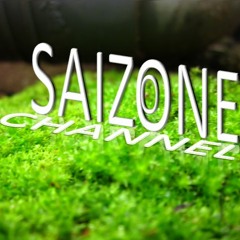 Saizone Musics