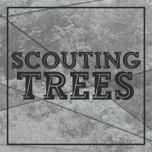 Scouting Trees’s avatar