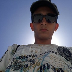 ahmed hany 220