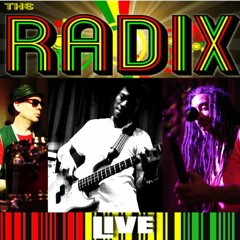 The RADiX