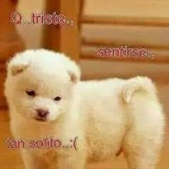 Windy Mercedes Lopes