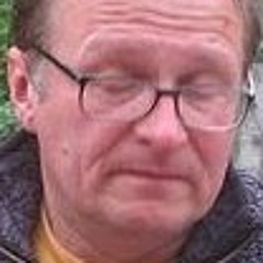 дмитрий ведилин
