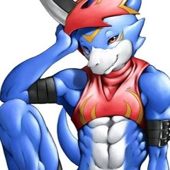 Sillecka Wolf