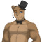 mr freddy