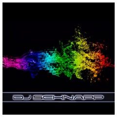 DJ Schnapp