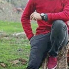 سليم الحريري