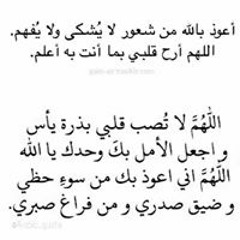 Youssef Hafez