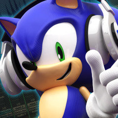 The Hedgehog's hardcore sounds