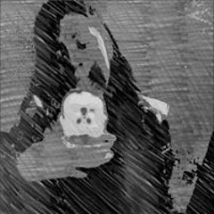 She'Mya Renee Jackson