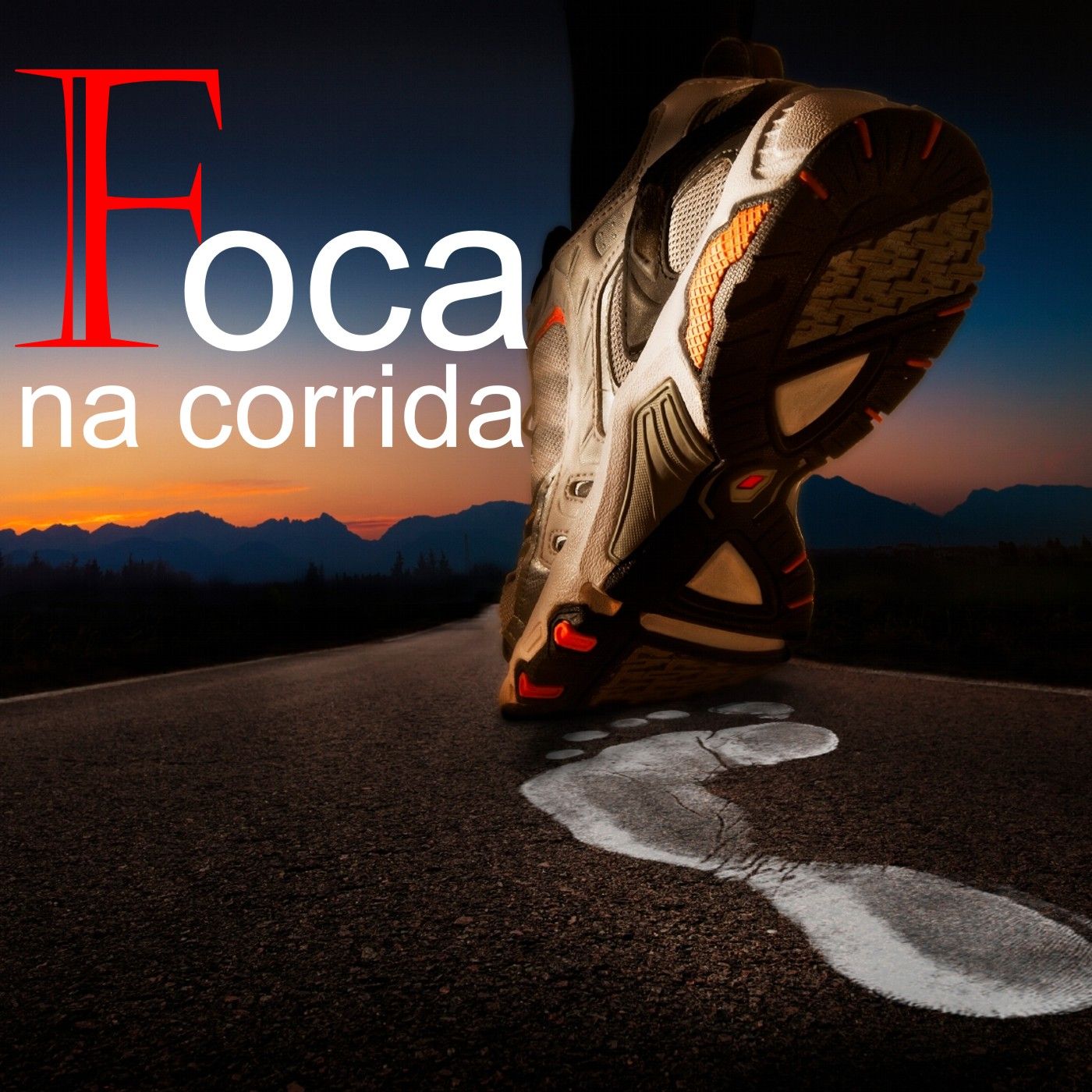 Foca na Corrida