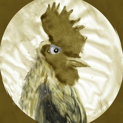 Stracqua Folklore Urbano