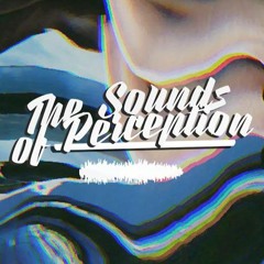 The Sounds Of Perception
