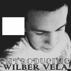 Wiber Vela