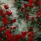 LoOla Youssef