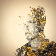 Arsalan Majid