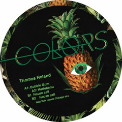 Colorslnd Record Label
