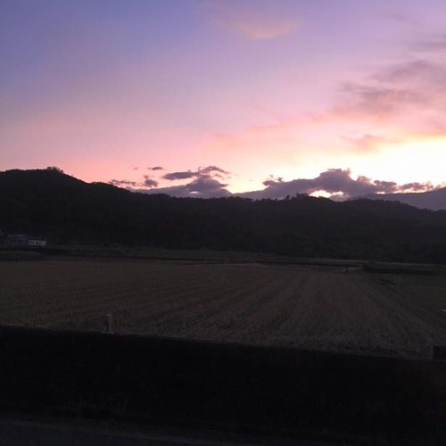 我還年輕我還年輕Cover