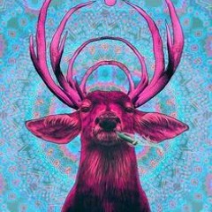 Diego Alonso Guzman 1