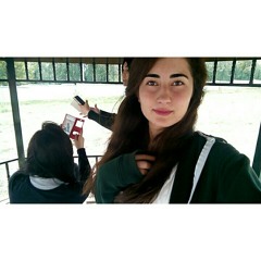 aley