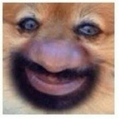 hassuh
