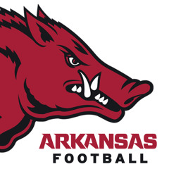RAZORBACKS FAN