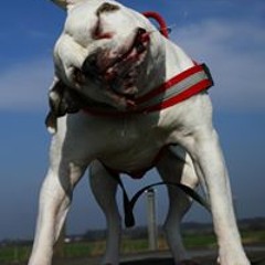 Sabrina Von Der Lippe