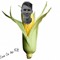 corn on the rob