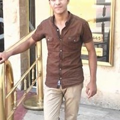بودى المصرى