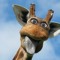 snugiraffe