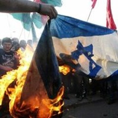 M Nizam Choirur Rizak