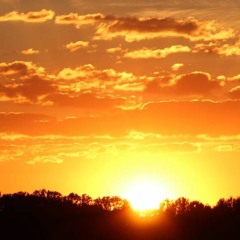 The Chill Side Factory