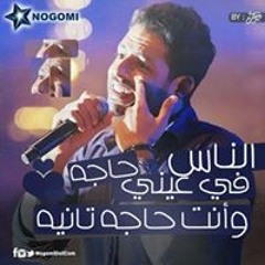 محمد هريدى