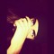 INDIGOWOLF