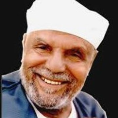 محمد ابو ليلة