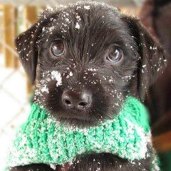 Haniel Arianny Martinez