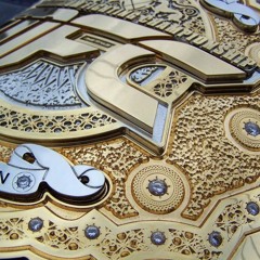 Maximum Fighting Champion